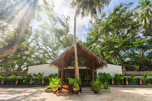 Malahini Kuda Bandos