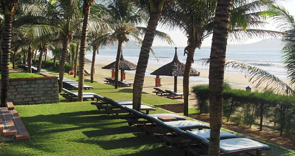 Pandanus  (Phan Thiet)