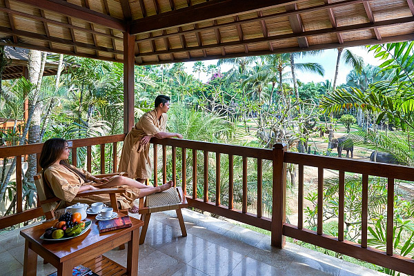 Mason Elephant Park and Lodge