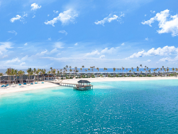 Joy Island by the Cocoon Collection