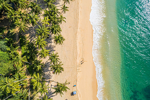 Mayavee Resort and Spa