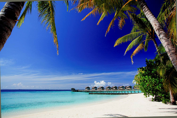 Centara Ras Fushi Resort&Spa Maldives