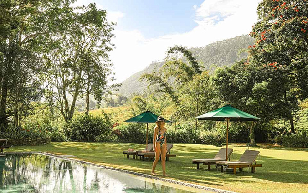 Ceylon Tea Trails Ceylon Tea Trails