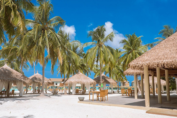 Reethi Faru Bio Resort  Reethi Faru Bio Resort