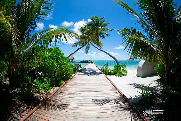 Canareef Resort Maldives Canareef Resort Maldives