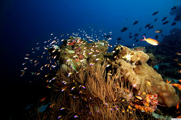 Hideaway Beach Resort and Spa