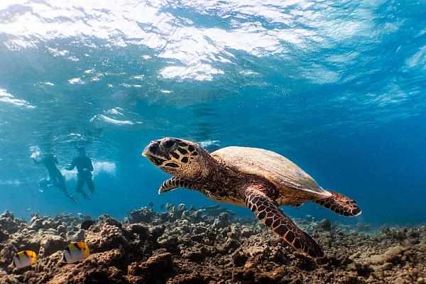 Kuredhivaru Resort and Spa (ex. Mӧvenpick)