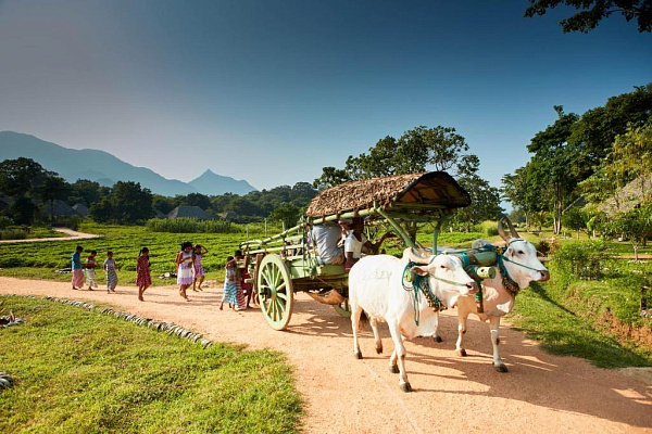 Amuna Ayurveda & Wellness Retreat