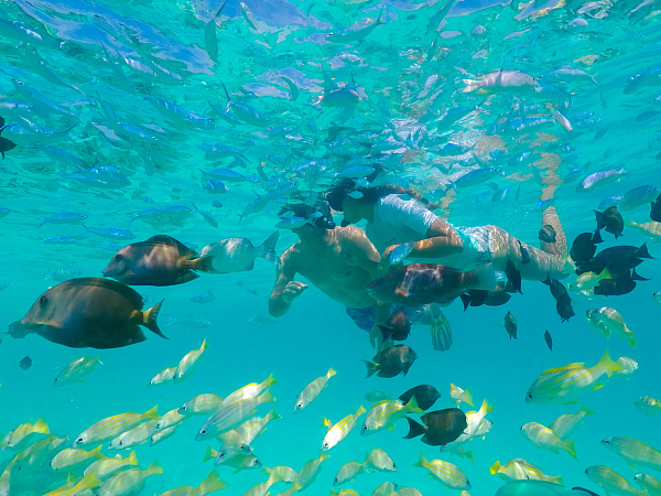 Veligandu Island Resort & Spa