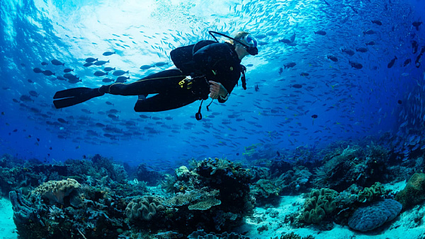 Hilton Maldives Amingiri Resort & Spa Hilton Maldives Amingiri Resort & Spa