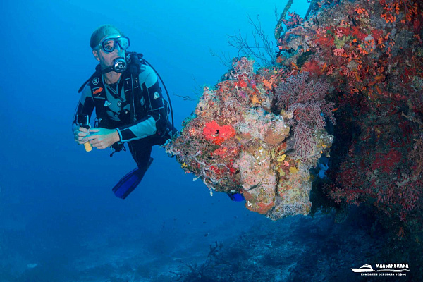 Milaidhoo Island Maldives Milaidhoo Island Maldives