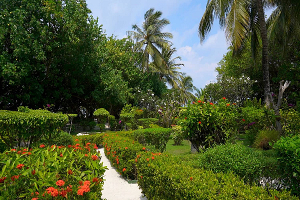 Adaaran Prestige Vadoo Adaaran Prestige Vadoo