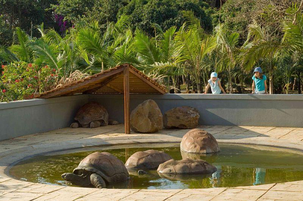 Maritim Hotel Mauritius Maritim Hotel Mauritius