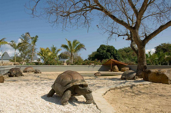 Maritim Hotel Mauritius Maritim Hotel Mauritius