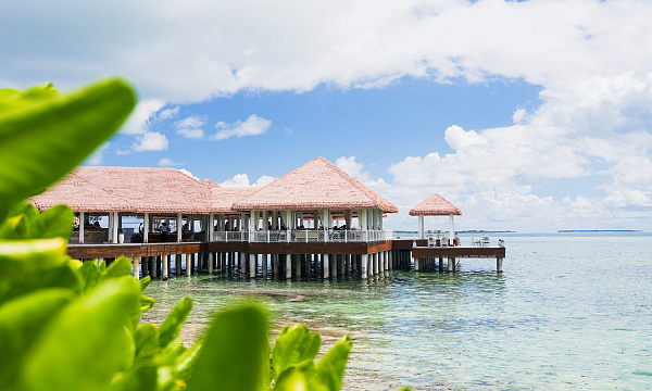 Ayada Maldives Ayada Maldives