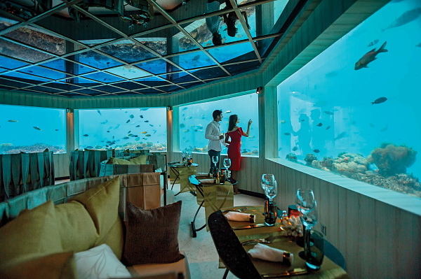 OZEN LIFE Maadhoo OZEN LIFE Maadhoo