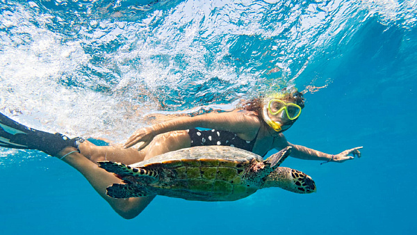 Hilton Maldives Amingiri Resort & Spa Hilton Maldives Amingiri Resort & Spa